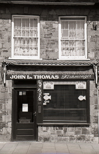 John L. Thomas, Fishmonger, Castell Newydd Emlyn