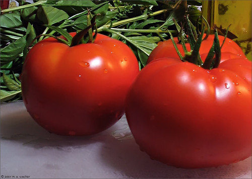 Garden Fresh Tomatoes 2