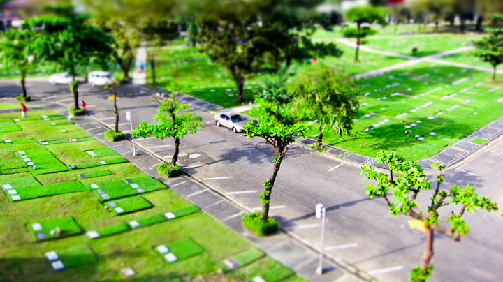 Cemetery2010-027