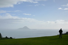 Whale Island from Kohi Lookout