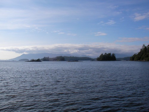 View from Effingham Bay