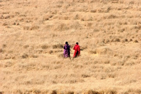 Masai in the NCA savannah