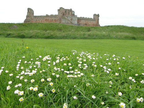 Tantallon with flowers