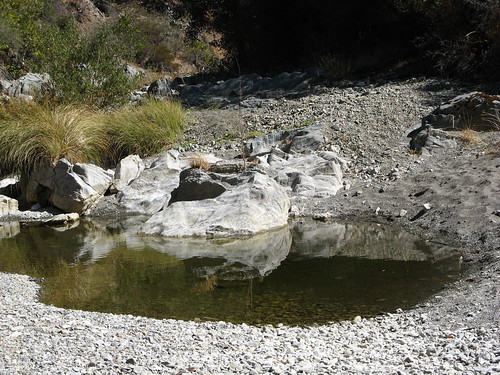 Puddle in the Narrows