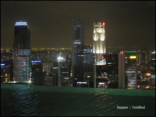 2010-10-31 新加坡  (170)Singapore_21