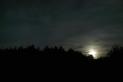 night-sky-in-cape-breton