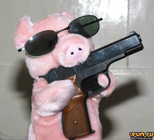 Piglet with gun