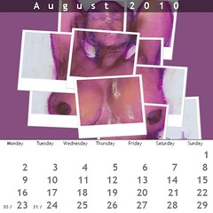 Funbag Calendar August 2010