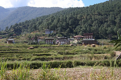Bhutan-29