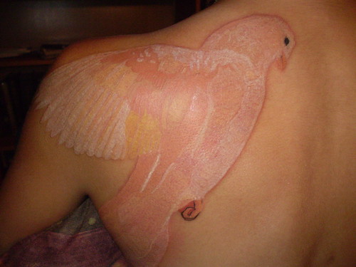 white dove tattoos. Dove by ez3k1al