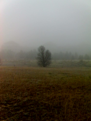 A cold and misty morning