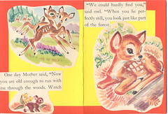 Little Deer Notebook 1