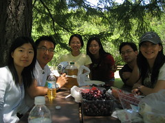 picnic at a rest area