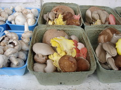 mushrooms, Trout Lake Farmers' Market