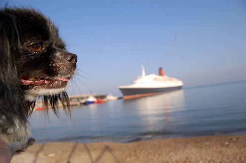 Poppy and the QE2