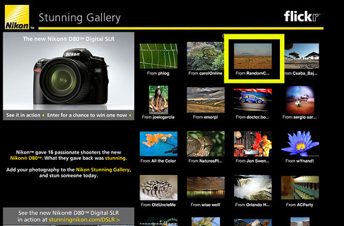 Nikon Stunning Gallery Selection