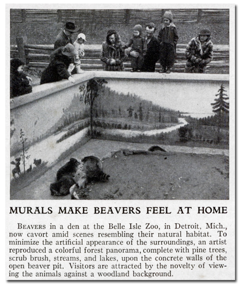 beaver_murals