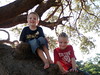 Max and Clay in the prayer tree