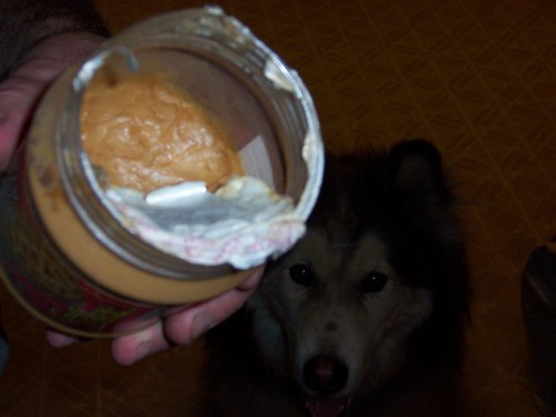 peanut butter jar destroyed