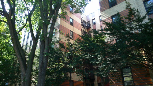 An Apartment Building in Brklyn