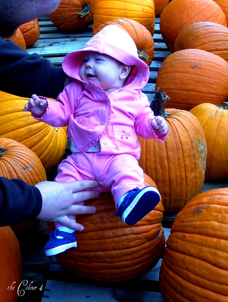 Leah pumpkin