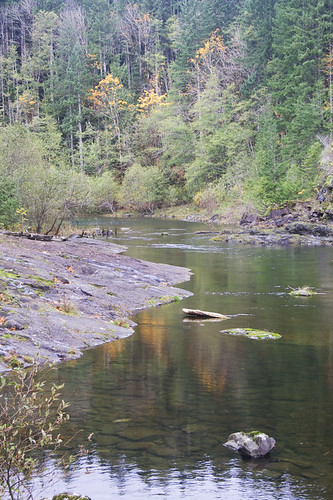 campbell river, above elk falls
