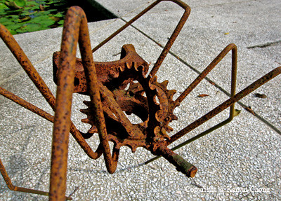 Rust-Spider