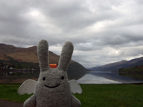 Angel Bunny at Loch Long