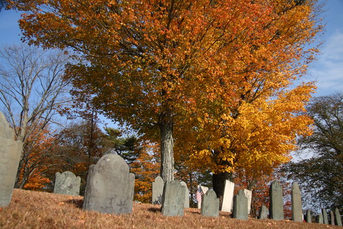 Graveyard 3