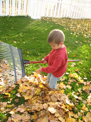 playing in the leaves