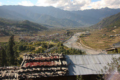 Bhutan-11