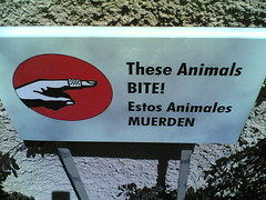These Animals BITE!