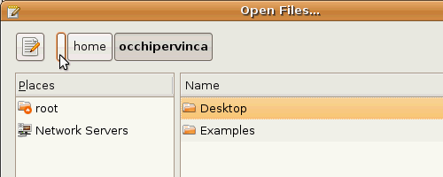 Fig. 5 - Ubuntu Guest Addition - apertura file - navigazione root directory