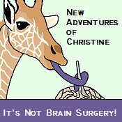New Adventures of Christine