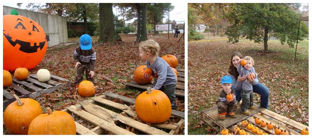Pumpkin collage 2009_3