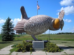 World's Largest Prairie Chicken