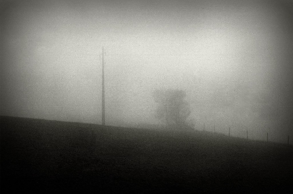 Mists #00270019