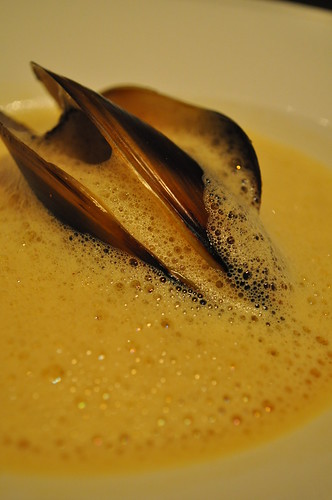 curry saffron soup