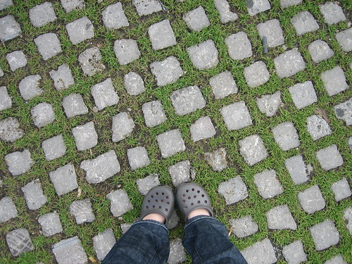 grassy cobblestones