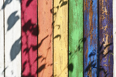 Shadows on a coloured fence 2061 - by Yukon White Light