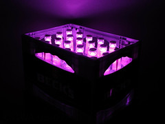 KALWA Becks Pink [LED-Installation 05-07]