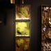 Las cápsulas IV. Inauguración de la exposición el Bosque Encapsulado de Ana Donat. Obra Social Caja Mediterrańeo