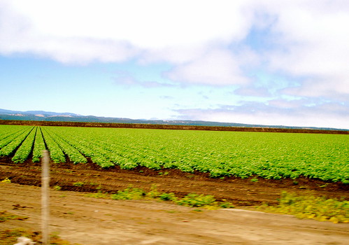 Salinas Valley