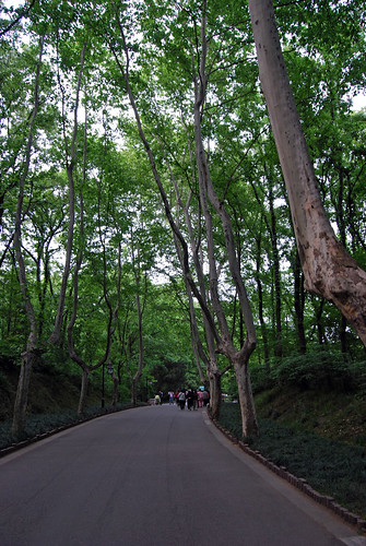 j10 - Línggǔ Scenic Area Path