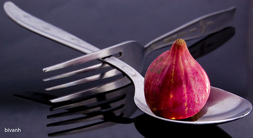 Red Onion Refined_small_2