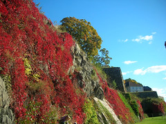 Fall at Akershus Fortress, Oslo #2