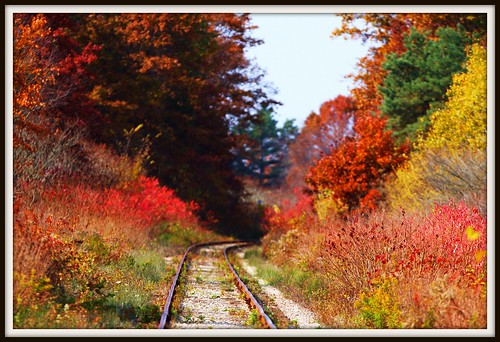 The Rail Trail
