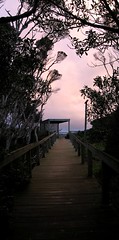Porch at sunset, Swan Lake Trail, Philip Island - by wit*chazel