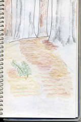 nature journal unfinished entry