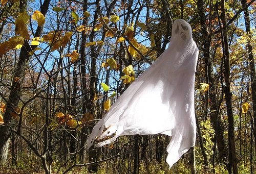 Ghost in the trees